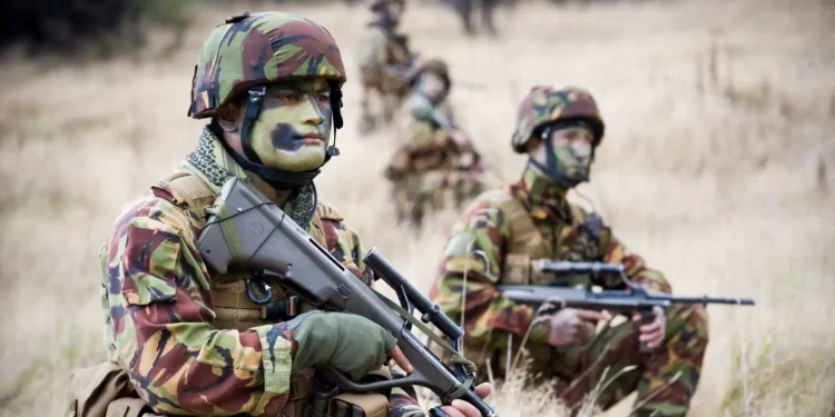 نيوزلندا تستعد لـ”المغامرة” الصينية