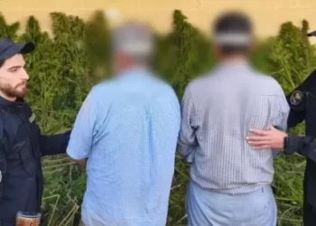 الداخلية السورية تضبط مزرعة لإنتاج الحشيش في دوما بعملية “نوعية” وتعيد فتح ملف (المخدرات الإقليمي)