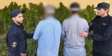 الداخلية السورية تضبط مزرعة لإنتاج الحشيش في دوما بعملية “نوعية” وتعيد فتح ملف (المخدرات الإقليمي)