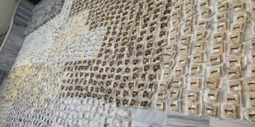 ضبط 370 كغم مخدرات والقبض على مطلوبين دولياً