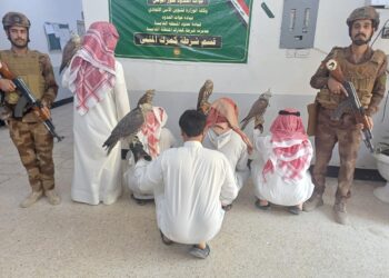 اعتقال صيادين كويتيين في بادية المثنى