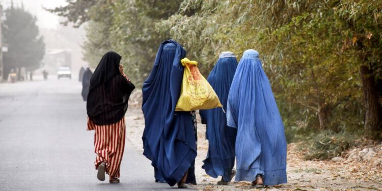 قيود على الأفغانيات تعلق عمليات أممية على حدود إيران