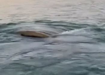 نهر دجلة يكشف أسراره بعد قرن من الصمت