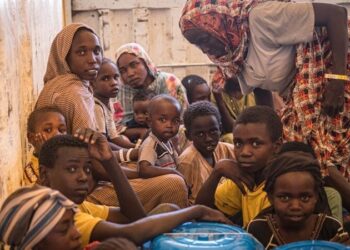 التصنيف الأممي يعلن مجاعة غير مسبوقة في الفاشر وكادوقلي