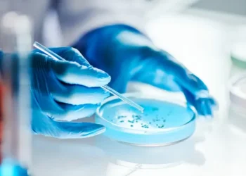 بكتيريا متجمدة منذ آلاف السنين تثير آمالاً طبية ومخاوف صحية