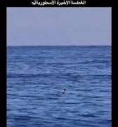 غضب بيئي في البصرة بعد اصطياد دولفين في مياه الخليج ودعوات لتشديد حماية الكائنات البحرية