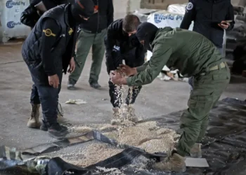 سوريا تعلن “حرباً شاملة” على المخدرات.. تفكيك 17 معملاً وضبط 697 مليون حبة كبتاغون