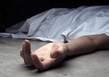 وفاة لواء متقاعد إثر حادث سقوط من نخلة داخل منزله في بغداد
