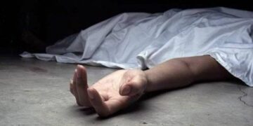 وفاة لواء متقاعد إثر حادث سقوط من نخلة داخل منزله في بغداد