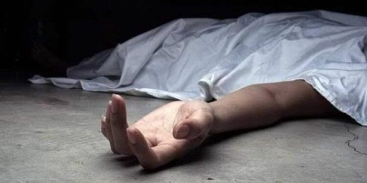 وفاة لواء متقاعد إثر حادث سقوط من نخلة داخل منزله في بغداد