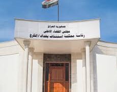 الحبس عاماً لمستشار سابق لرئيس الوزراء بعد إدانته بالإضرار بالمال العام