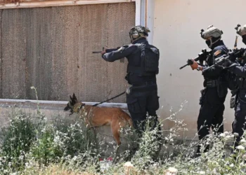 استمرار ملاحقة فلول التنظيم.. مكافحة الإرهاب تنفذ عملية ناجحة قرب آلتون كوبري