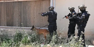 استمرار ملاحقة فلول التنظيم.. مكافحة الإرهاب تنفذ عملية ناجحة قرب آلتون كوبري