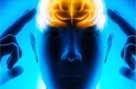 أبحاث تكشف الحاسة التي تربط الجسد بالعقل