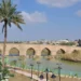 المادة 140 تشعل السجال والشارع يتجه إلى بغداد
