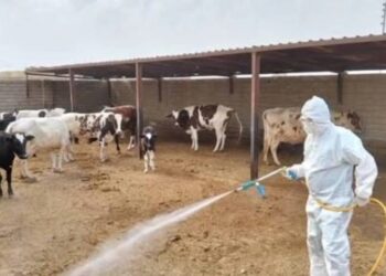 الحمى النزفية تضرب ذي قار والزراعة تمدد طوارئ المكافحة