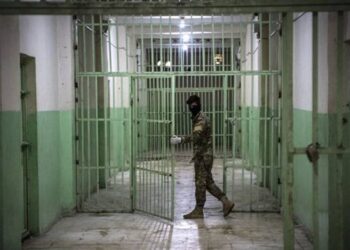 العفو العام وقرارات القضاء يخرجان 519 نزيلاً من السجون العراقية خلال تموز