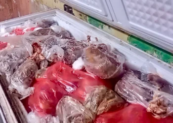 مصدر يكشف حقيقة العثور على 200 كغم من لحوم الخنازير بأحد مطاعم الناصرية
