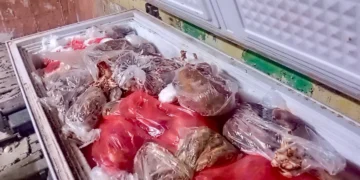 مصدر يكشف حقيقة العثور على 200 كغم من لحوم الخنازير بأحد مطاعم الناصرية