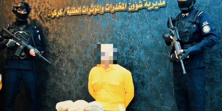 مخدرات بأسماء غريبة تحت المجهر.. الإطاحة بتاجر وضبط «الفطر السحري» في السليمانية .. فيديو