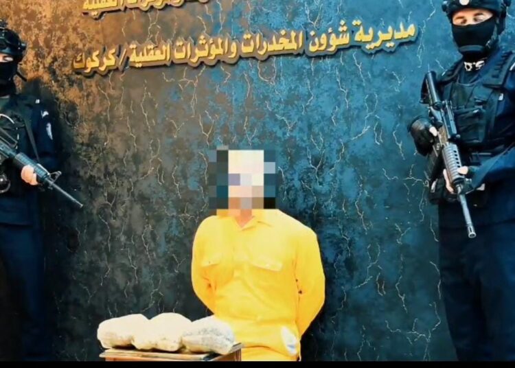 مخدرات بأسماء غريبة تحت المجهر.. الإطاحة بتاجر وضبط «الفطر السحري» في السليمانية .. فيديو