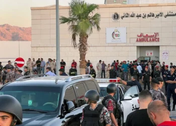 وسائل إعلام إردنية: تسجيل 11حالة اختناق بعد تسرب غاز الأمونيا في ميناء العقبة