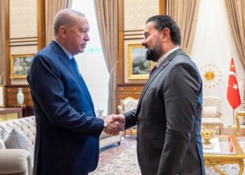 الحلبوسي يلتقي أردوغان.. العلاقات الثنائية وتعزيز التعاون والتنسيق المشترك على الطاولة