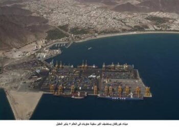 عملاق البحار في خورفكان.. سفينة بـ24 ألف حاوية ترسو في الإمارات