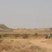 عبوة ناسفة تستهدف قوة عسكرية في كركوك.. استشهاد عميد وجندي