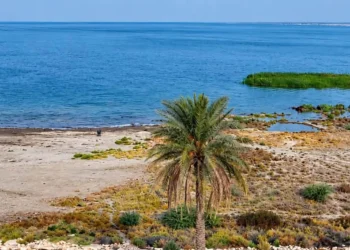 الحبانية تستعيد مياهها.. ارتفاع الخزين ينعش السياحة ويعيد الأمل للثروة السمكية