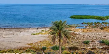 الحبانية تستعيد مياهها.. ارتفاع الخزين ينعش السياحة ويعيد الأمل للثروة السمكية