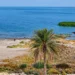 الحبانية تستعيد مياهها.. ارتفاع الخزين ينعش السياحة ويعيد الأمل للثروة السمكية