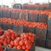 فتح استيراد البطاطا والطماطم والبصل.. العراق يتحرك لاحتواء ارتفاع أسعار الغذاء