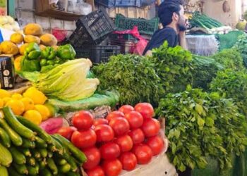 بعد ارتفاع الأسعار.. الزيدي يوجه بالسماح بإدخال شحنات الخضرة المتكدسة في المنافذ