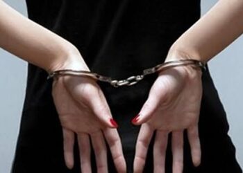 هزة وسنويات وإجازات.. اعتقال امرأة يقود إلى اكتشاف معاملات مرورية مزورة داخل منزلها في بغداد